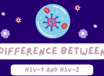 What is the Difference between HSV1 and HSV2
